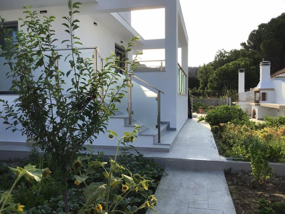 Zante Luxury Apartment Αργάσι Εξωτερικό φωτογραφία